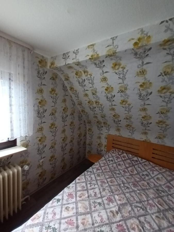 Family House Leilighet Eberbach  Eksteriør bilde