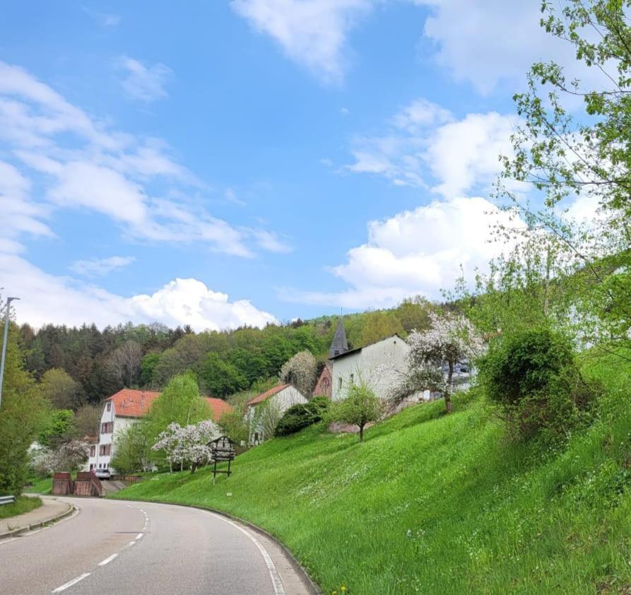 Family House Leilighet Eberbach  Eksteriør bilde